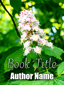 acbookcovers_26110751
