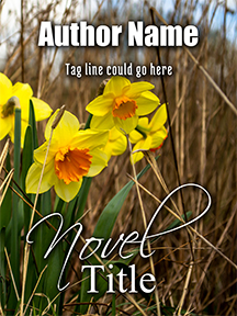acbookcovers_26111016