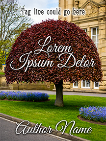 acbookcovers_26111618