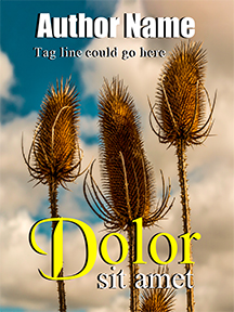 acbookcovers_26114156
