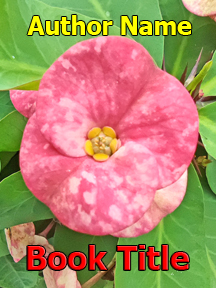 mds_26142465