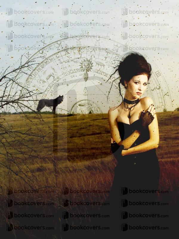 coverdealer_26129099
