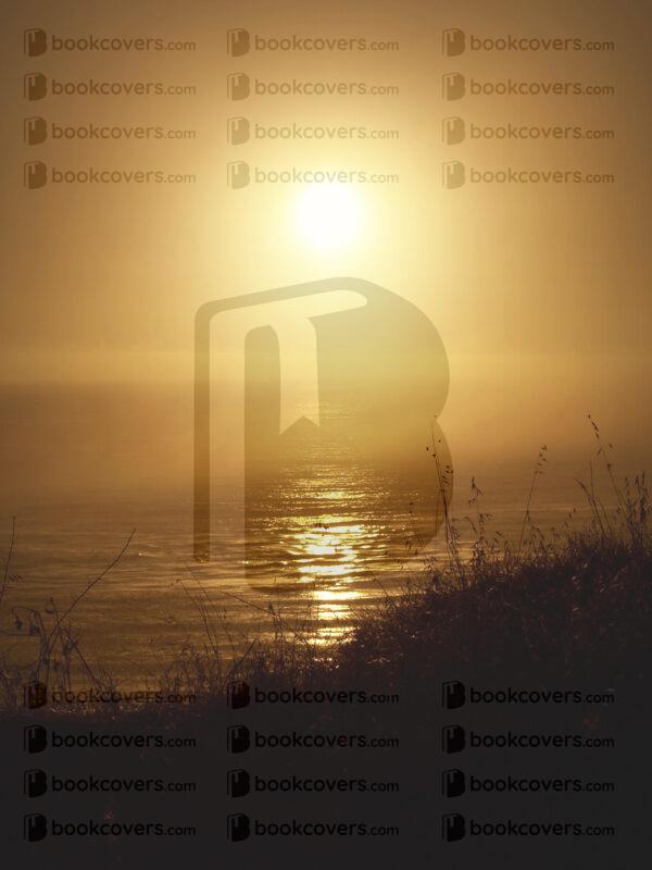 melchelledesigns_26131301