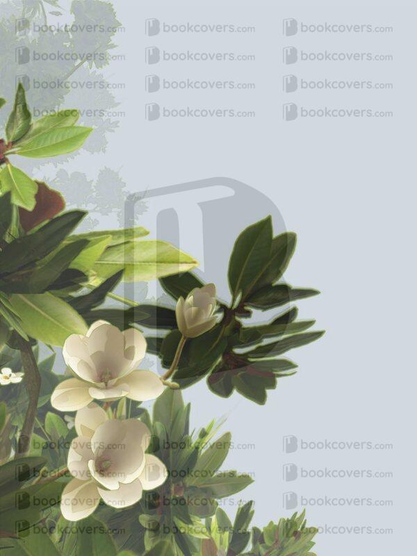 ladylight_26131568