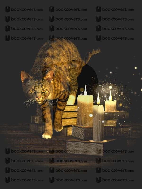 ladylight_26137740