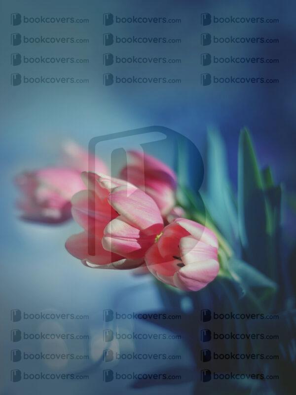 27artdesign_26116059