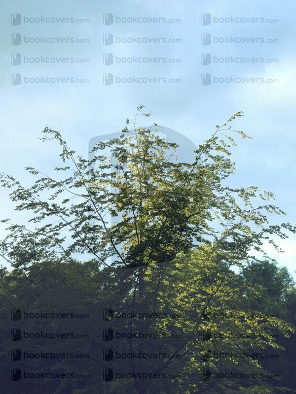 grapiko_26183336