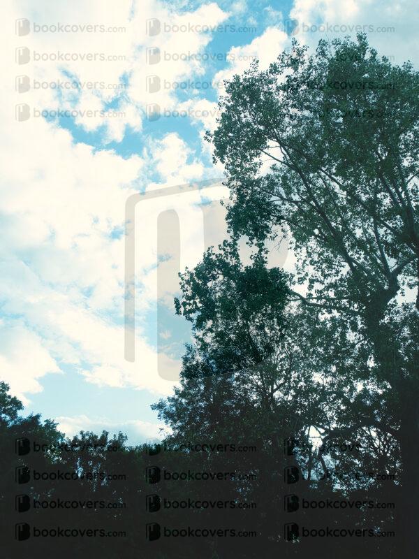 grapiko_26190080