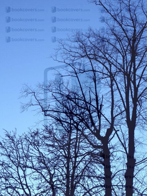 grapiko_26186006