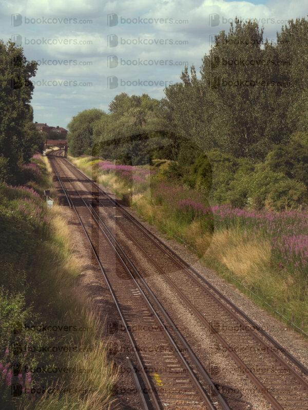 grapiko_26182010