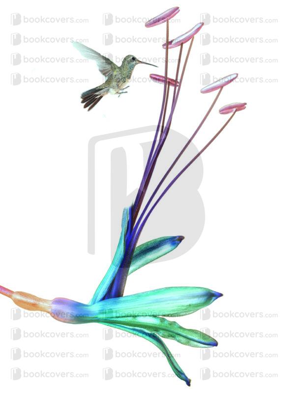 mary60_26097459
