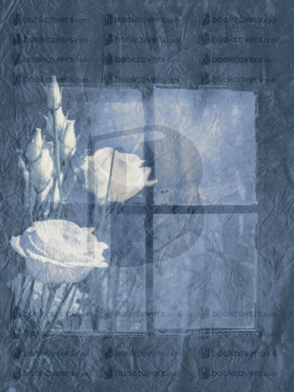 mary60_26122295