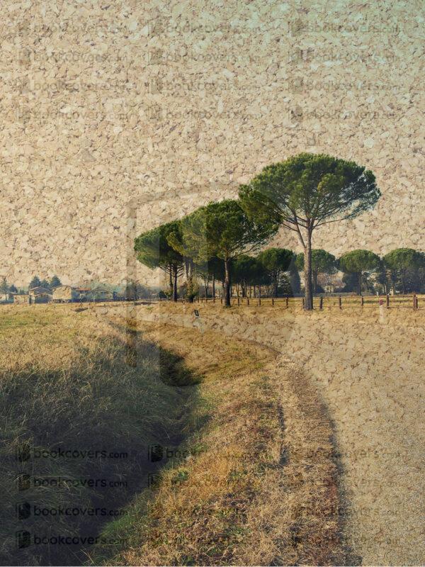 chiaracattaruzzi_26123168