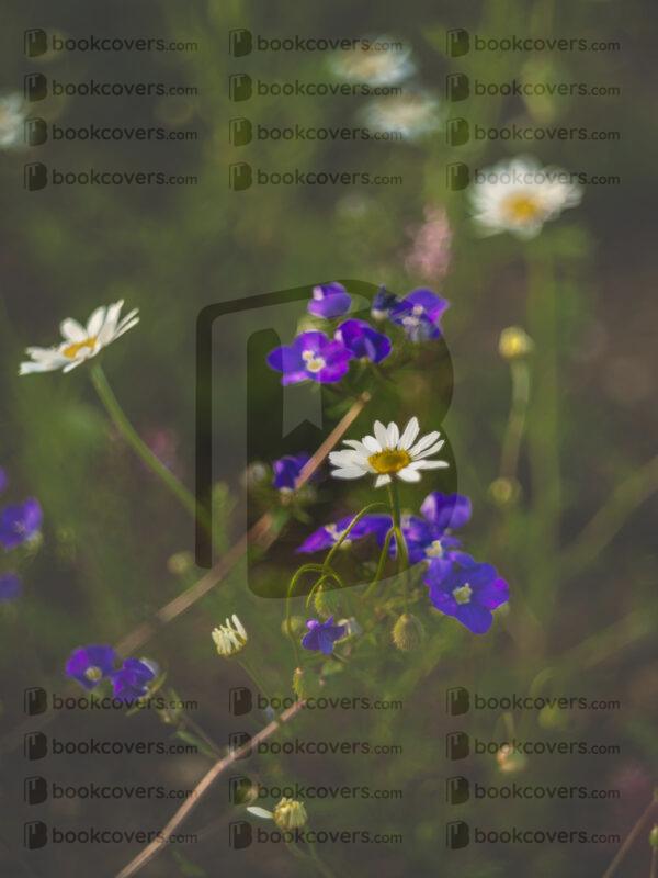 chiaracattaruzzi_26141384