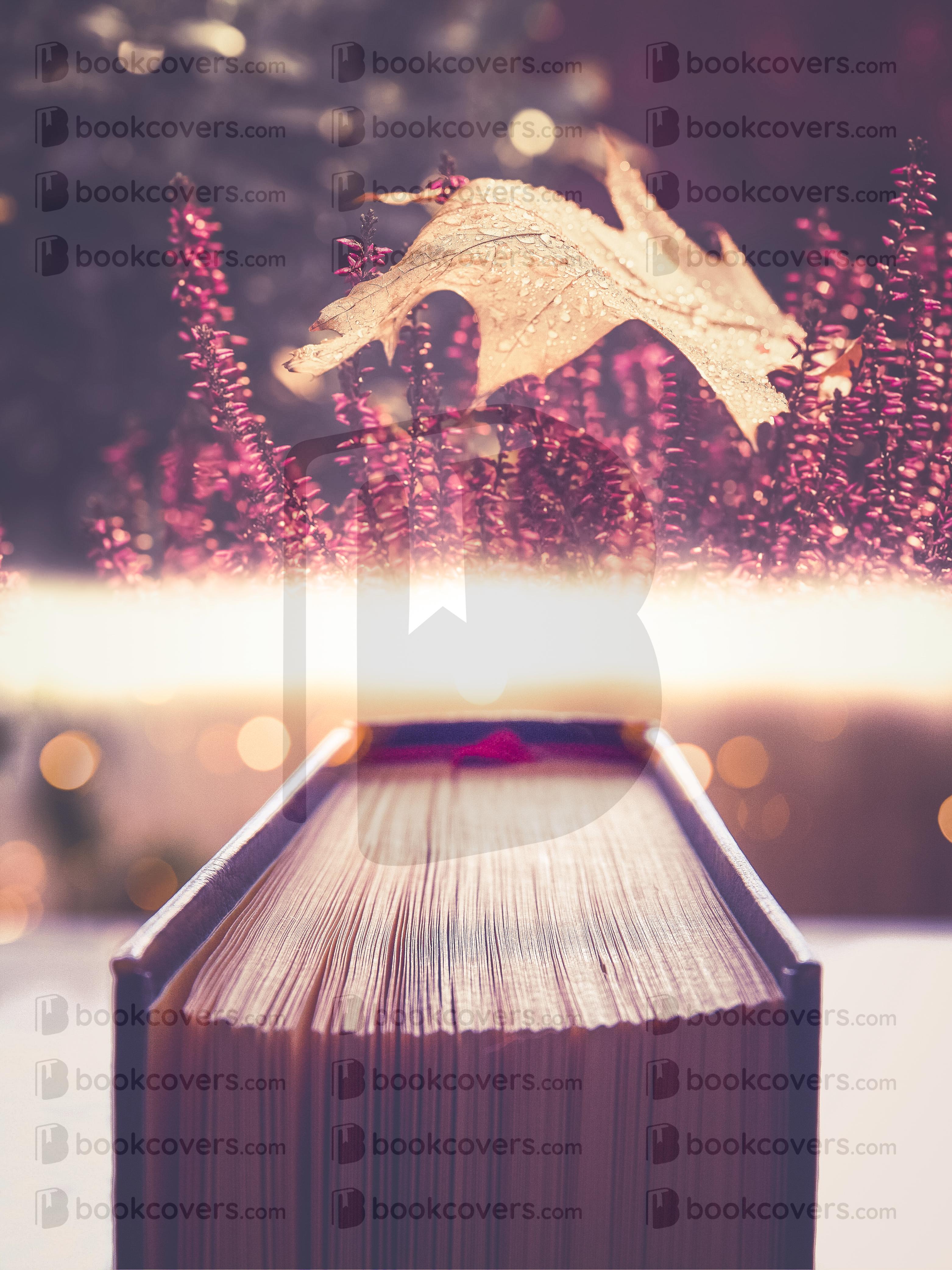 chiaracattaruzzi_26142991