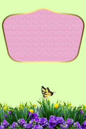 chiaracattaruzzi_26143118
