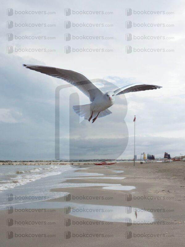 chiaracattaruzzi_26096440