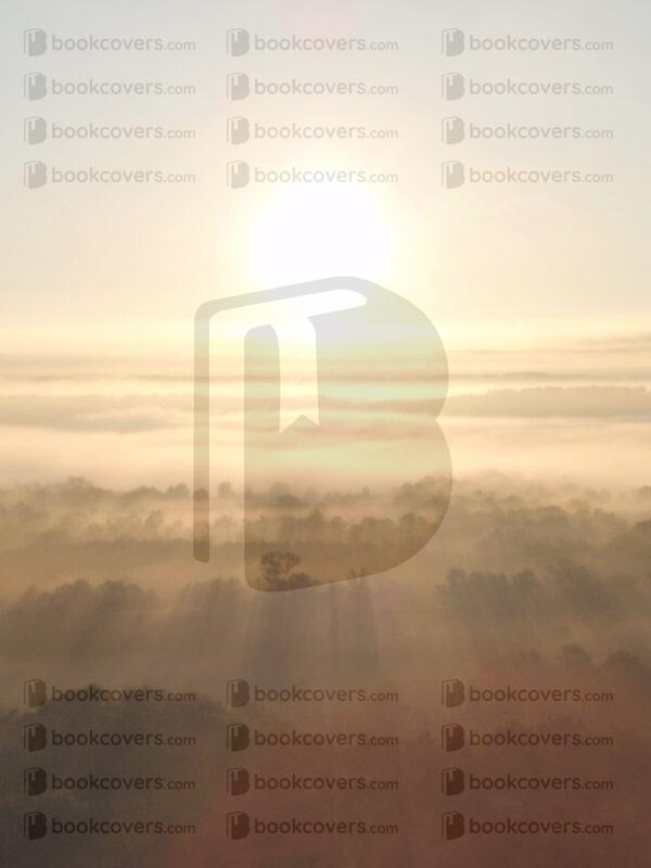 aardvarkdesign_26097962