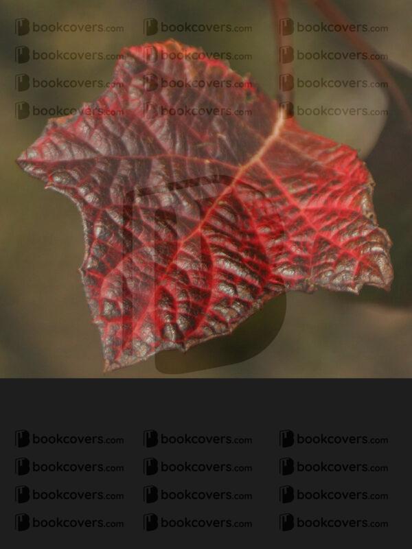 toxiclight_26109782
