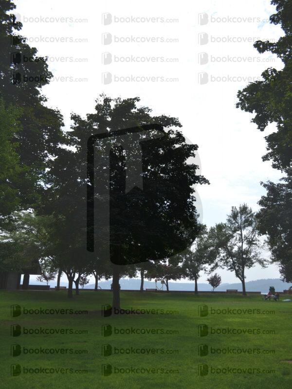 dandantheartman_26111866