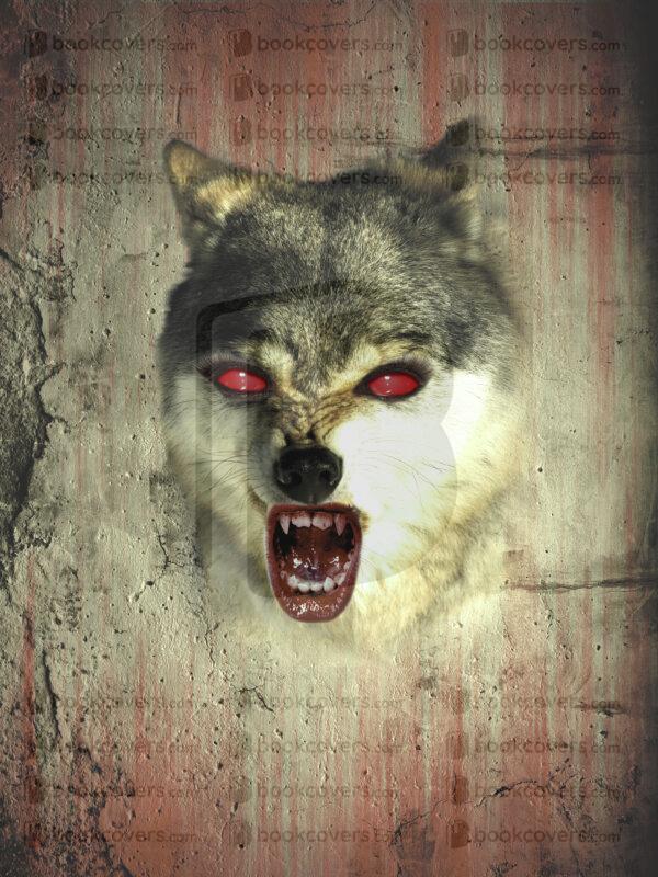 acbookcovers_26106612