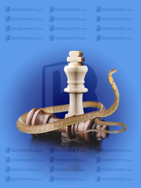 acbookcovers_26106786