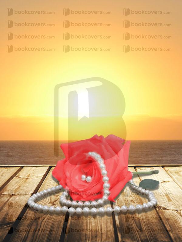 acbookcovers_26107684