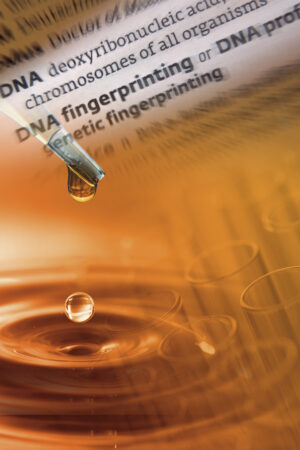 acbookcovers_26107254