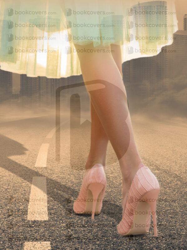acbookcovers_26107974