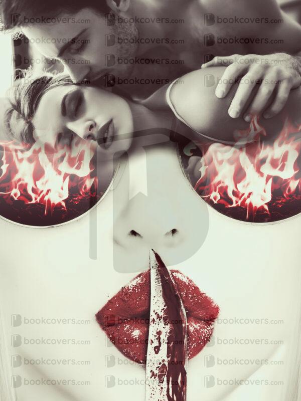 acbookcovers_26108505