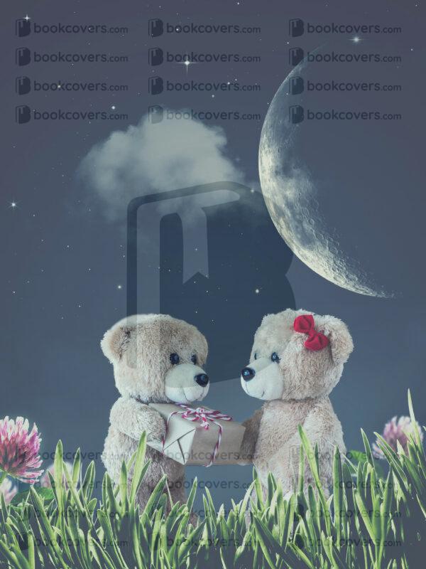 acbookcovers_26108974