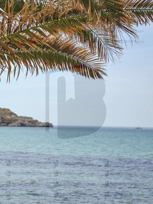 acbookcovers_26110006