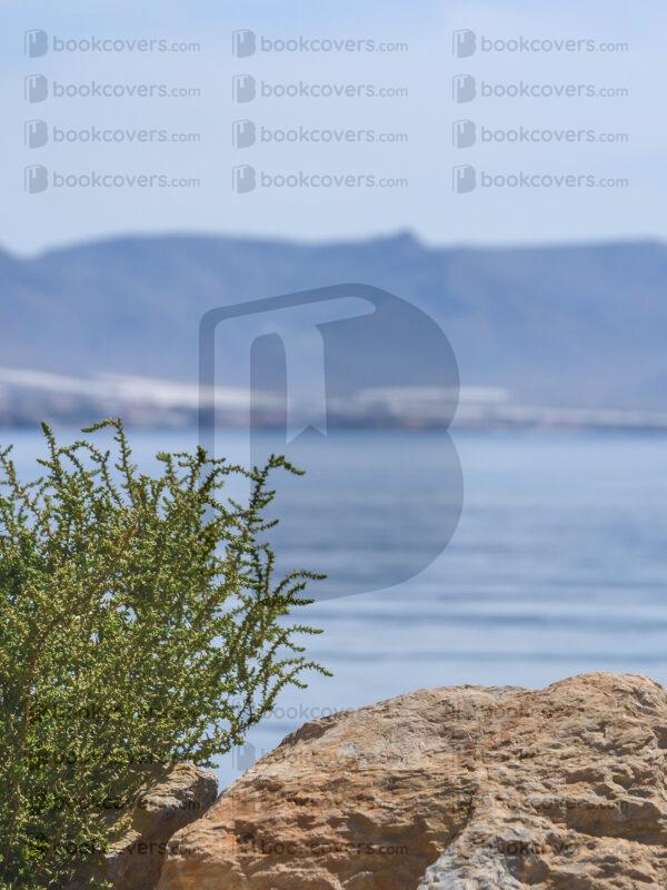 acbookcovers_26110358