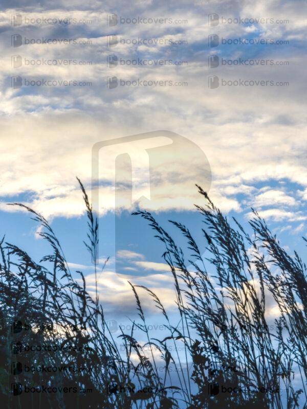 acbookcovers_26110454