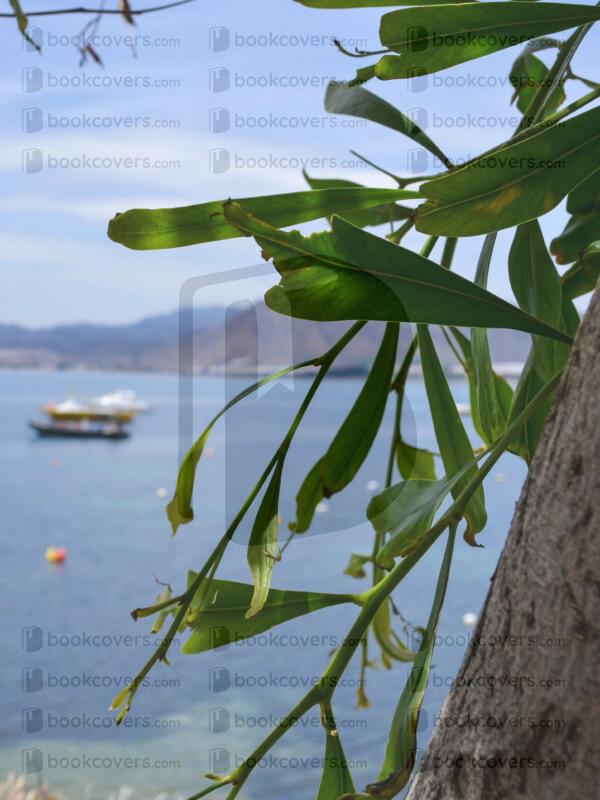 acbookcovers_26110517