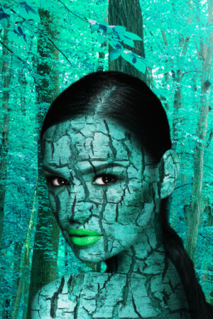 acbookcovers_26110183