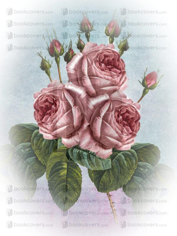 acbookcovers_26111731