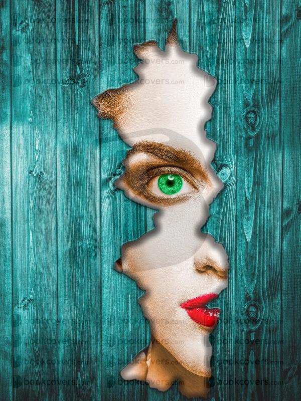 acbookcovers_26112133
