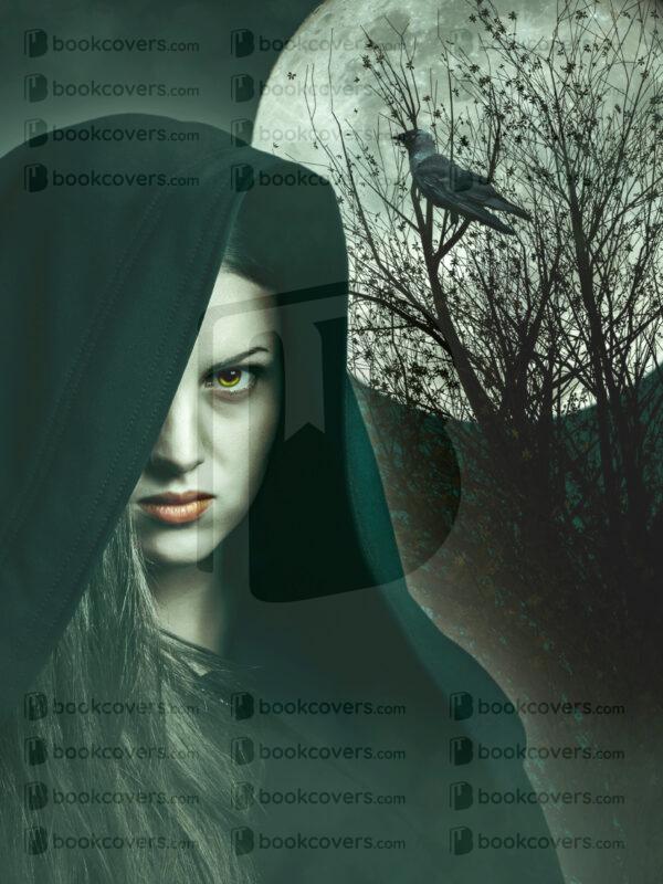 acbookcovers_26113875