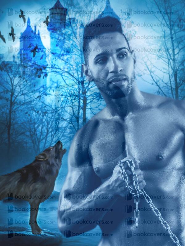 acbookcovers_26112651