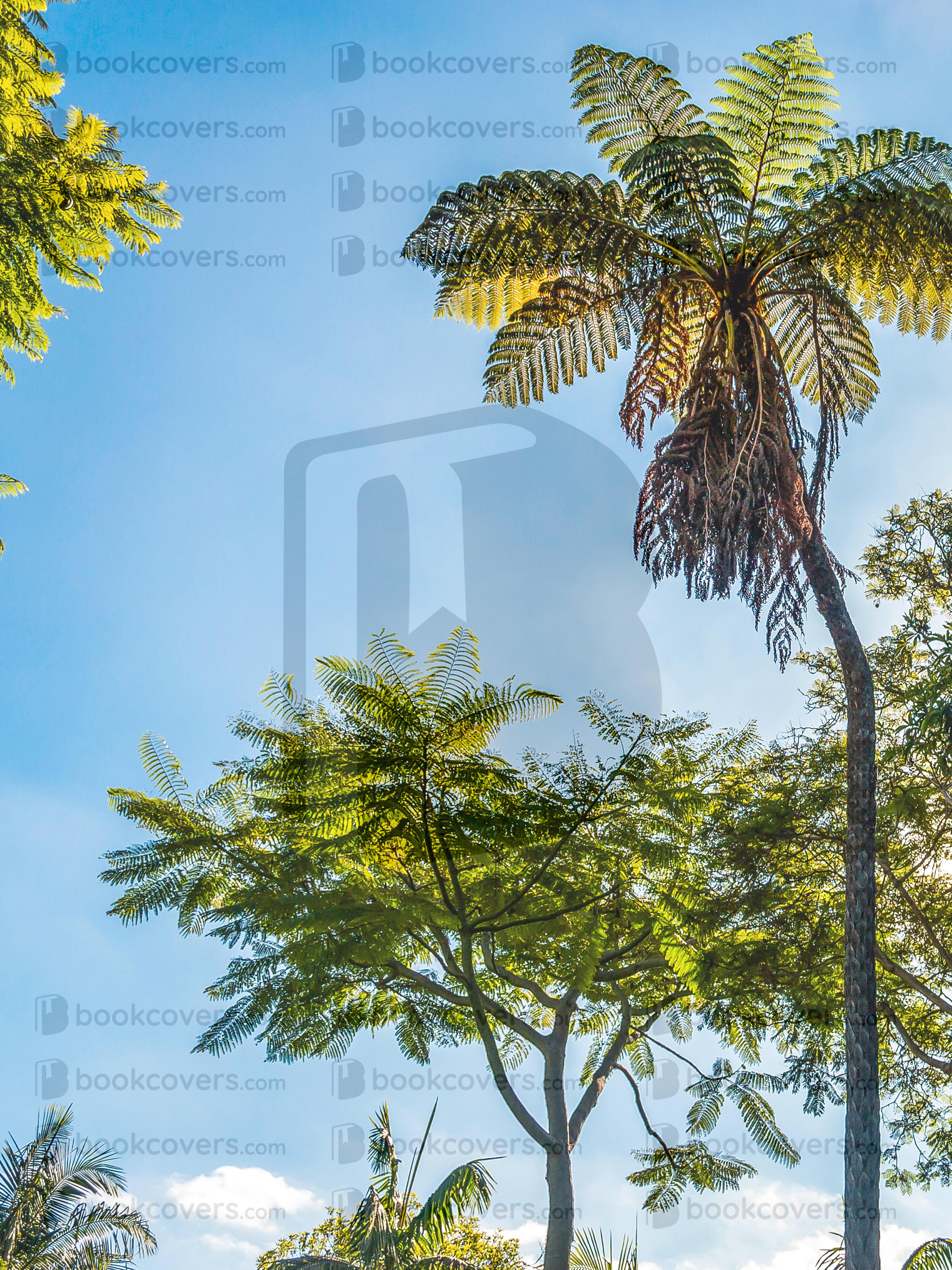 acbookcovers_26114093