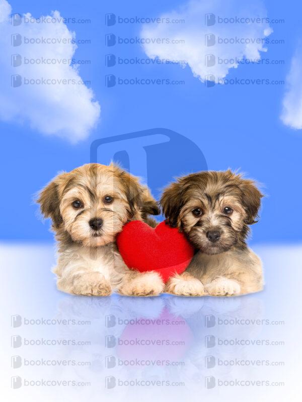 acbookcovers_26115479