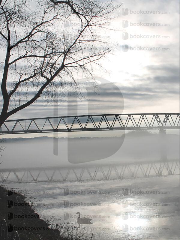 deisbutterfly_26117331
