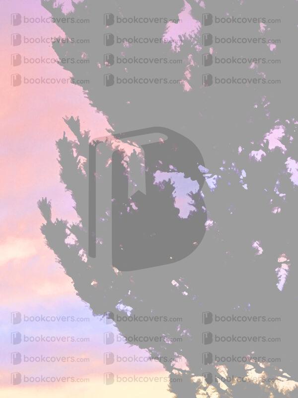 amyelyseneer_26181957