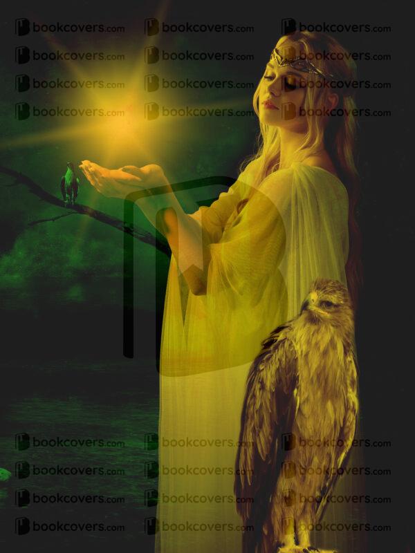 fallenangel1979_26178403