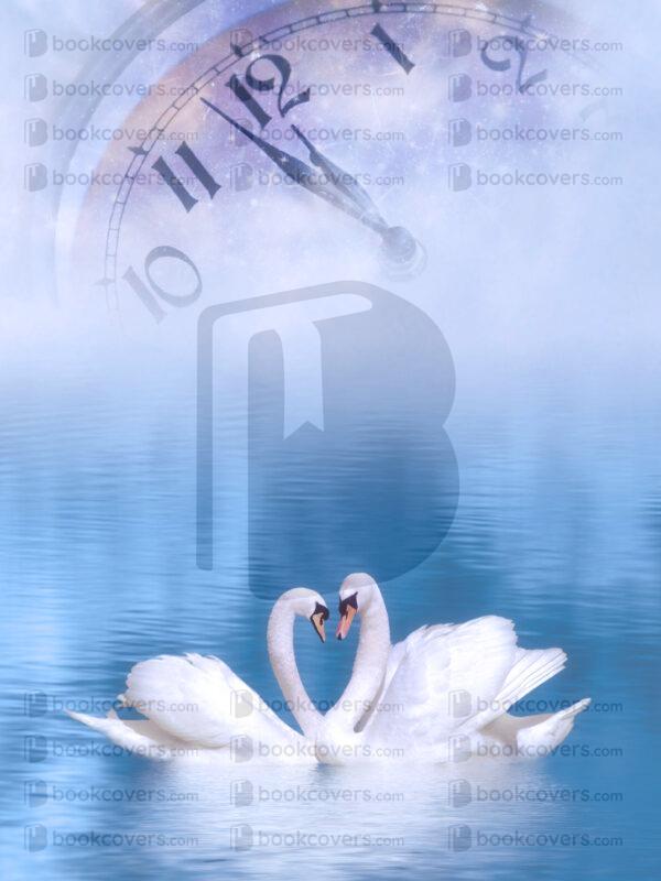 sfcovers_26179713