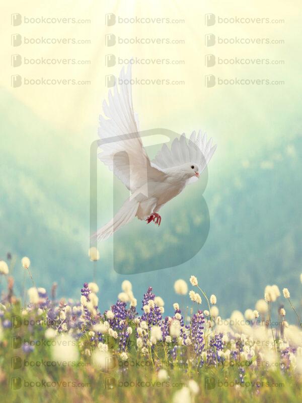 sfcovers_26180391