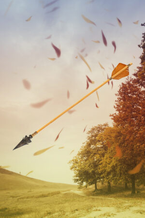 sfcovers_26182970