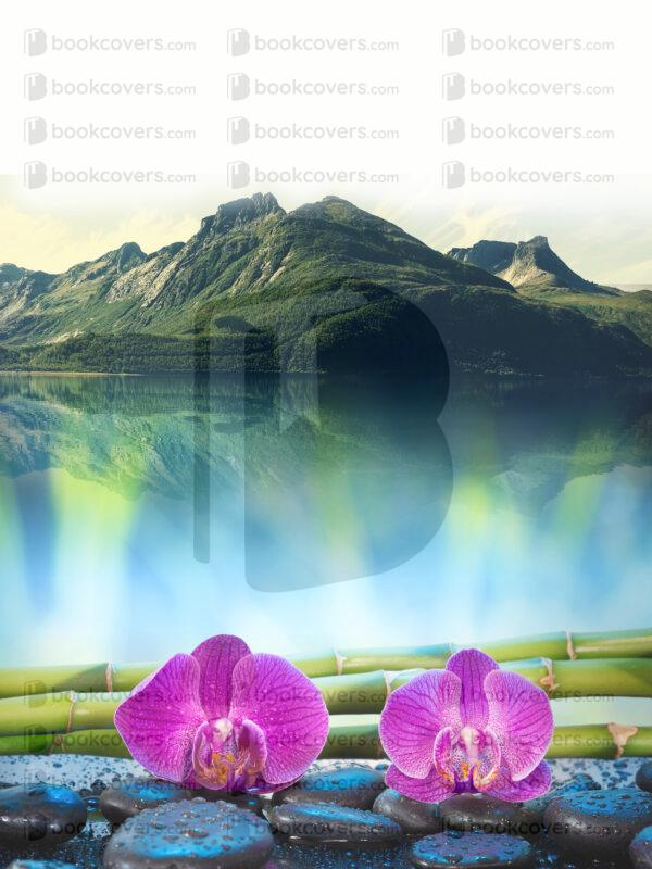 sfcovers_26181717