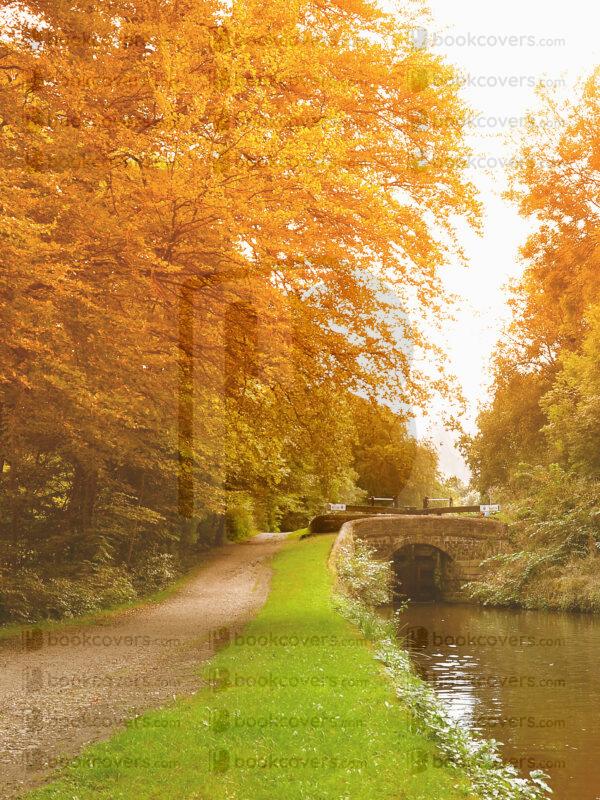 lesdale_26190920